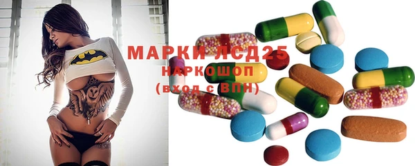 apvp Каменногорск