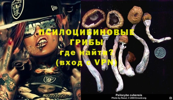 apvp Каменногорск