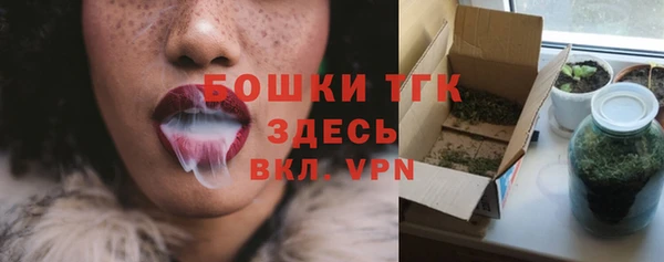 молекула духа Грязовец