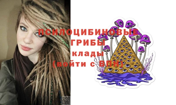 трава Каменка