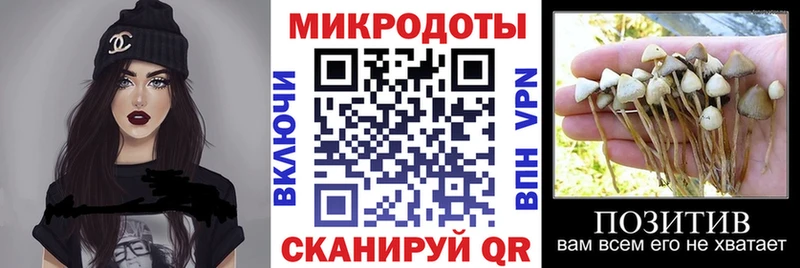 Псилоцибиновые грибы Psilocybe  Касли 